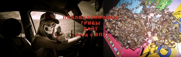 jwh Ветлуга