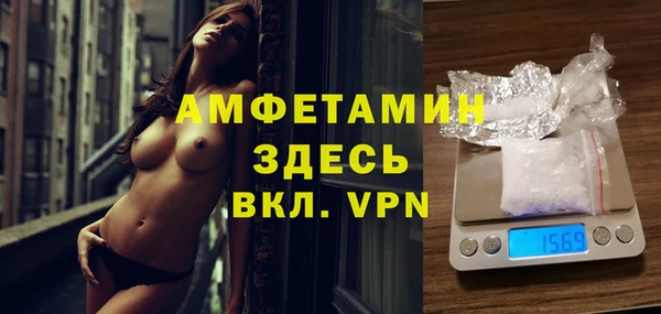 ГАЛЛЮЦИНОГЕННЫЕ ГРИБЫ Дмитриев