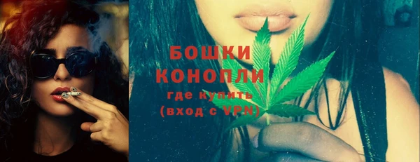 ГАЛЛЮЦИНОГЕННЫЕ ГРИБЫ Дмитриев