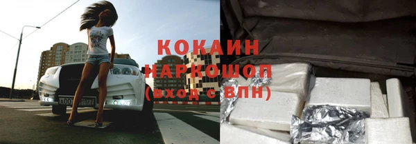 ГАЛЛЮЦИНОГЕННЫЕ ГРИБЫ Дмитриев