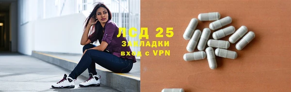 ГАЛЛЮЦИНОГЕННЫЕ ГРИБЫ Дмитриев