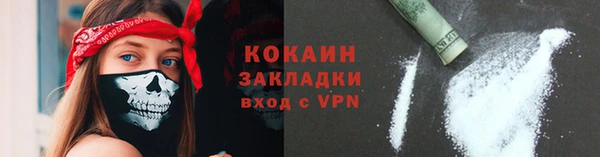 ГАЛЛЮЦИНОГЕННЫЕ ГРИБЫ Дмитриев