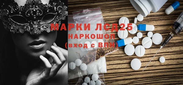 ГАЛЛЮЦИНОГЕННЫЕ ГРИБЫ Дмитриев