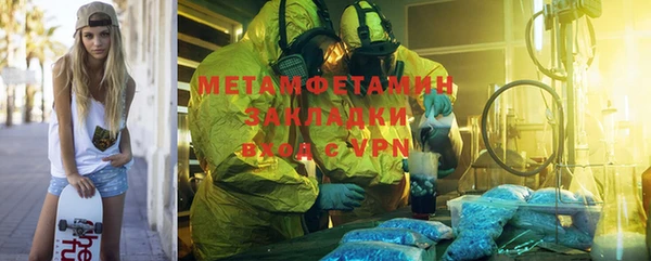 ГАЛЛЮЦИНОГЕННЫЕ ГРИБЫ Дмитриев