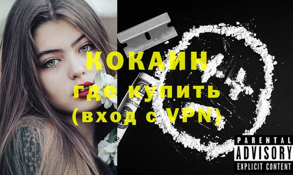 ГАЛЛЮЦИНОГЕННЫЕ ГРИБЫ Дмитровск