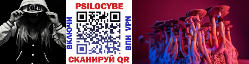 даркнет сайт  дарк нет Telegram  Псилоцибиновые грибы Cubensis  Железноводск 